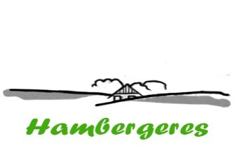 Afbeelding hambergeres